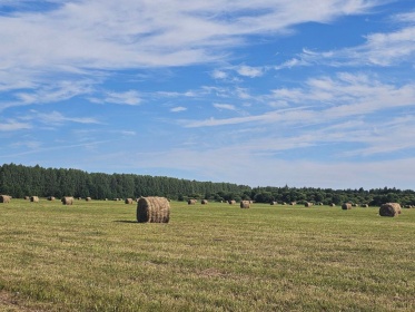 В Нижегородской области выполнено более половины запланированного объема кормозаготовительных работ 