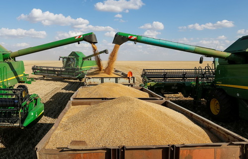 Нижегородские аграрии  уже собрали 1,5 млн тонн зерна