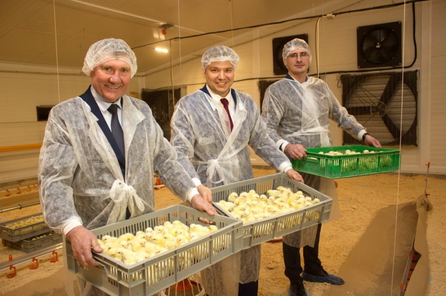 Первые три птичника запущены в Нижегородской области в рамках реализации крупного инвестиционного проекта 