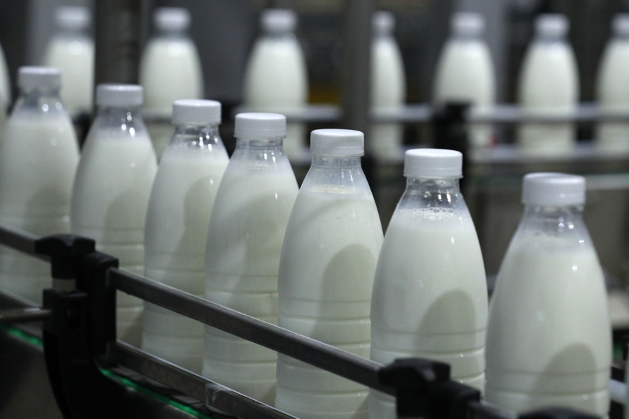 Сельхозпроизводители региона продолжают наращивать производство молока
