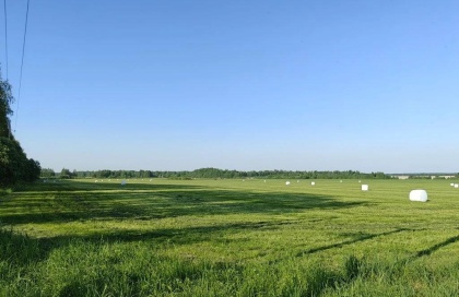 Нижегородские аграрии приступили к заготовке кормов