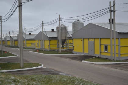 18 новых птичников построены в Вачском округе при господдержке