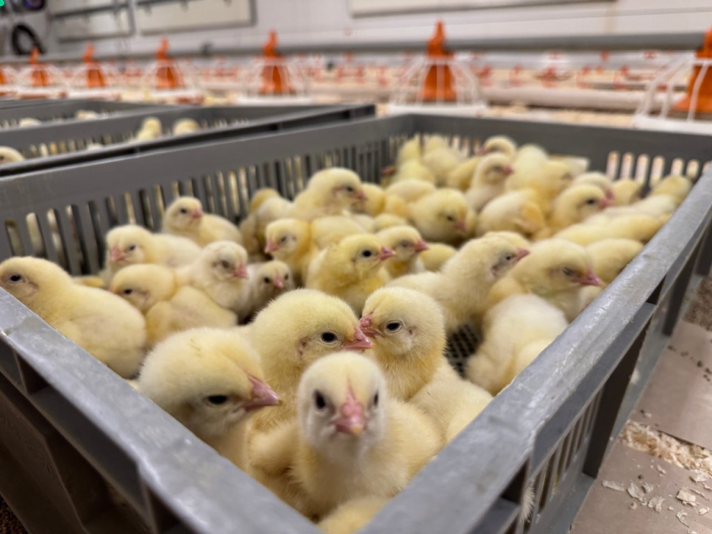 photo_2025-12-09_16-12-43.jpg photo_2025-12-09_16-12-43.jpg