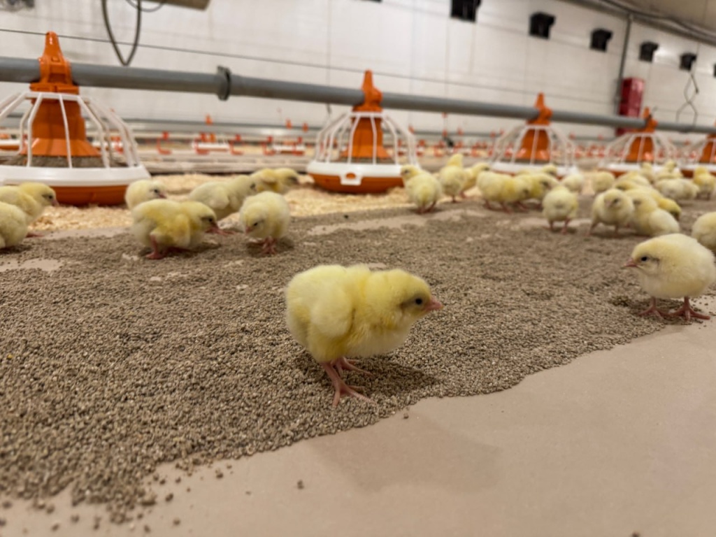 photo_2025-12-09_16-31-24.jpg photo_2025-12-09_16-31-24.jpg