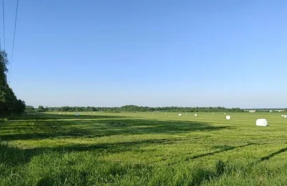 Нижегородские аграрии приступили к заготовке кормов